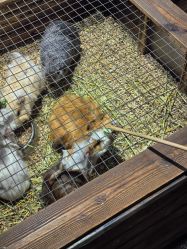 -酷嗒动物文化乐园(cutezoo西溪乐天城店)