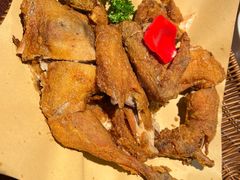 -前海沿·青岛菜(五四广场永旺店)