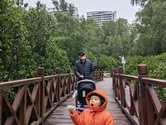 -大亚湾红树林城市湿地公园