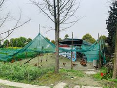 -洪湖家庭农场·团建·露营·会议