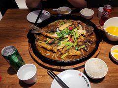 -老板恋上鱼(恒隆广场店)