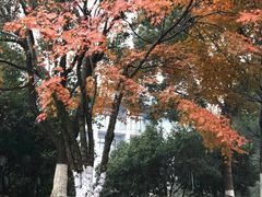 -天目湖御水温泉·度假酒店