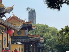 -江心屿景区