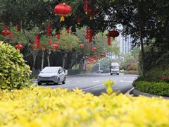 -溪岸路花鸟市场
