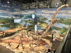 -自贡恐龙博物馆
