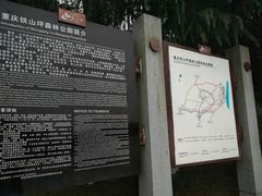 -铁山坪森林公园