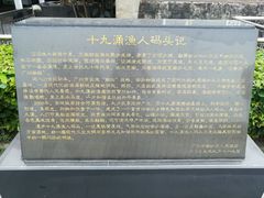 -大湾区中央湿地公园-十九涌