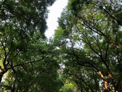 -天坛东门(地铁站)