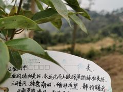 -缙云山景区