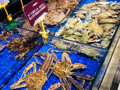 -船歌·鱼水饺青岛菜(闽江二路店)