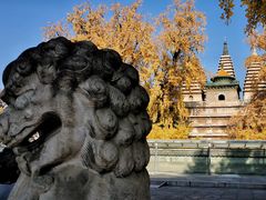 -北京石刻艺术博物馆(五塔寺)