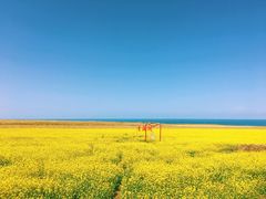 -青海湖国家重点风景名胜区