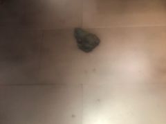 -老佛爷炭火蛙锅直营(清滨路总店)