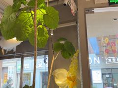 -迦南的早晨蛋糕甜品集合店