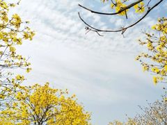 -松山湖南湖湾露营营地
