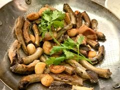 锅贴血鳗鱼-吴记富苑(朝阳店)