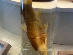 -南京科技馆