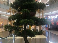 -凯德广场(学府店)