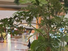 -桂满陇·蟹黄小笼汤包(中山公园店)