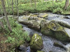 -五营红松林海景区