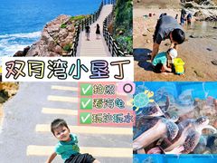 -广东惠东海龟国家级自然保护区