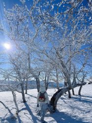 -大秃顶子山(雪谷店)