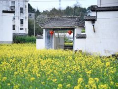 -新安江山水画廊风景区