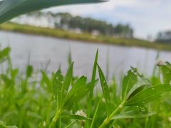 -春花秋色城市公园