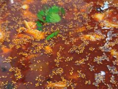 -川渔居—鱼火锅(八方汇店)