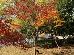 -石湖景区