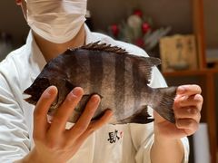 -镹·鱼料理  国产鱼使用店