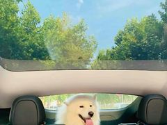 -TESLA 特斯拉(上海太古汇体验店)