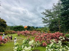 -中国科学院西双版纳热带植物园