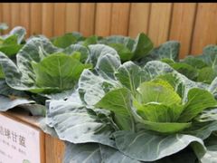 -蒙田森·蒙特梭利幼儿园(锦西园区)