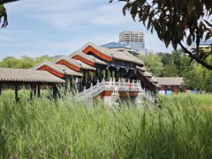 -西海子公园