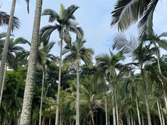 -中国科学院西双版纳热带植物园