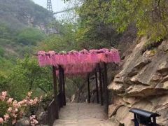 -黑龙潭风景区