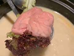 鲜猪脑-捞王锅物料理(凯旋路店)