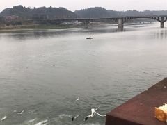 -王浩儿纪六孃甜皮鸭(乐山总店)