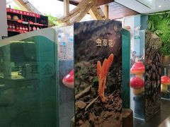 -菌乡缘·野生菌蒸汽鱼火锅(江边夜市店)