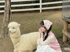 -云栖山谷野奢营地