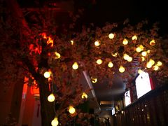 -桃花沅火锅(长嘉汇江景店)