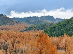 -山王坪喀斯特国家生态公园