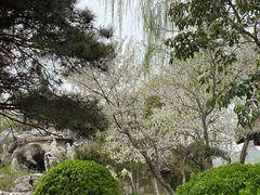 -济南国际园博园