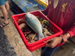 -拉威海鲜市场