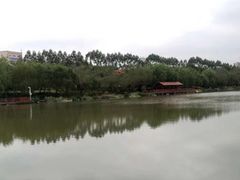 -琴亭湖公园