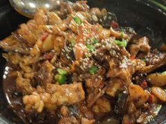 -聚味罗记大排檔·烧烤·鲜鱼杂·甲鱼煲(科学馆店)