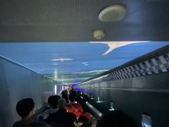 -白鹤梁水下博物馆