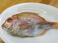 -长平肥姐白粥·海鲜打冷