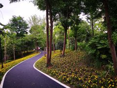 -新江湾城公园